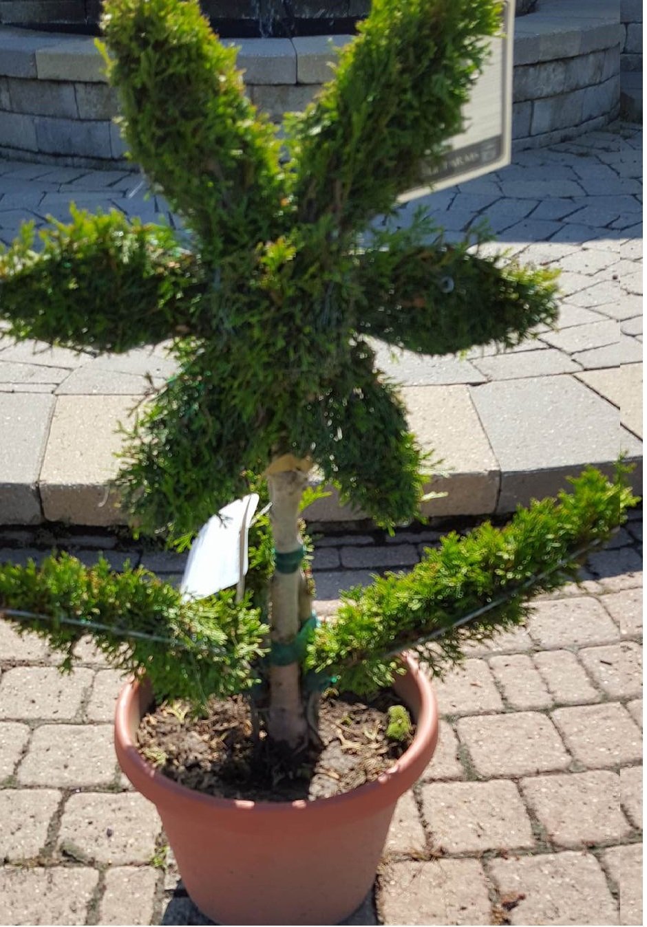 Landscaping Goods Westland, Michigan Merlino's Bushel Center