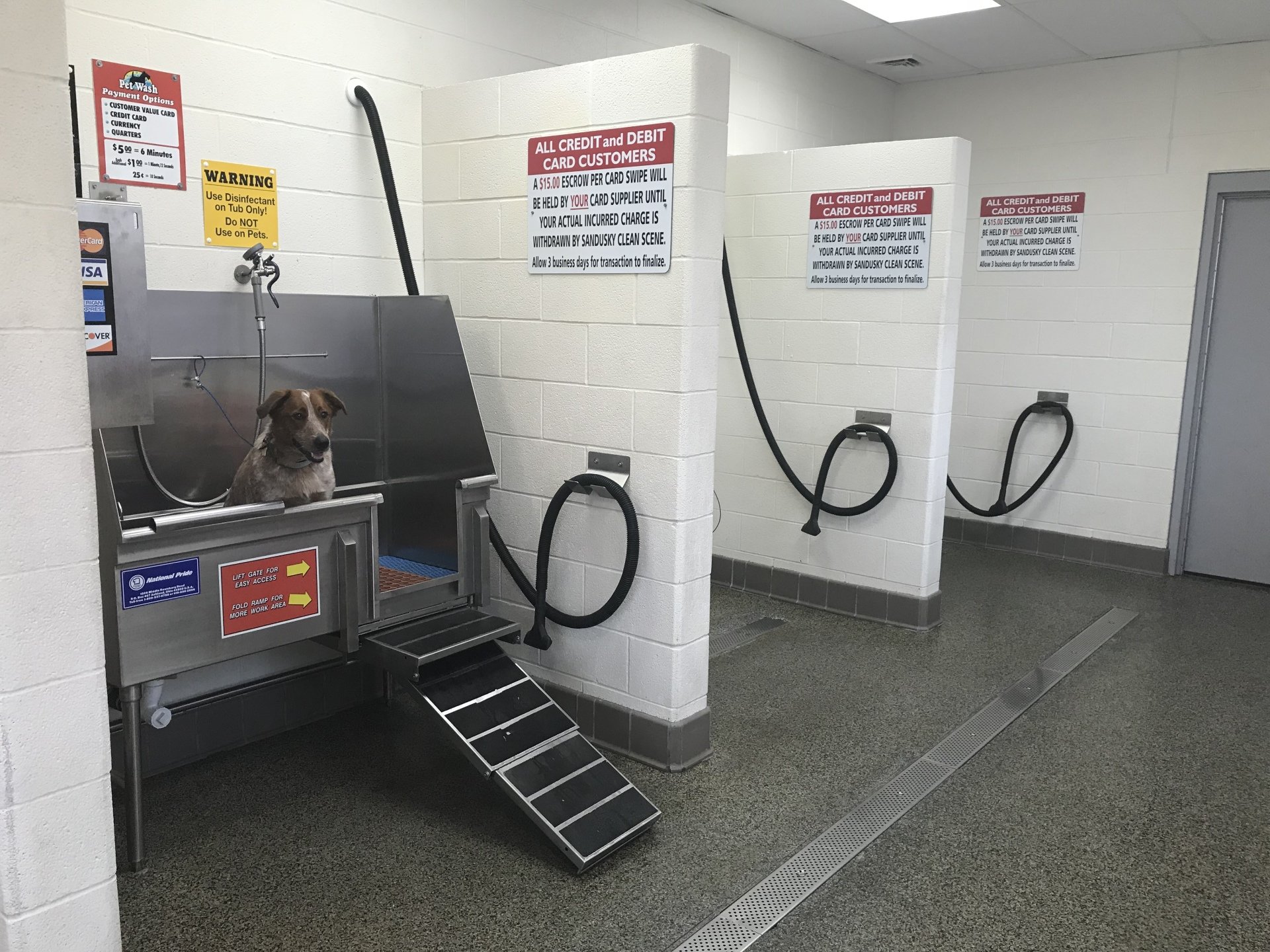 Automatic Car Wash Sandusky, OH Clean Scene