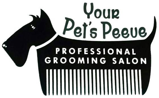 Dog Day Care Portsmouth Nh Dog Day Care Portsmouth Nh