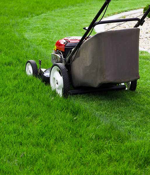 Lawn Care And Maintenance Las Vegas Ruben S Service Lawn Mower And Landscaping Services In Las Vegas Nv