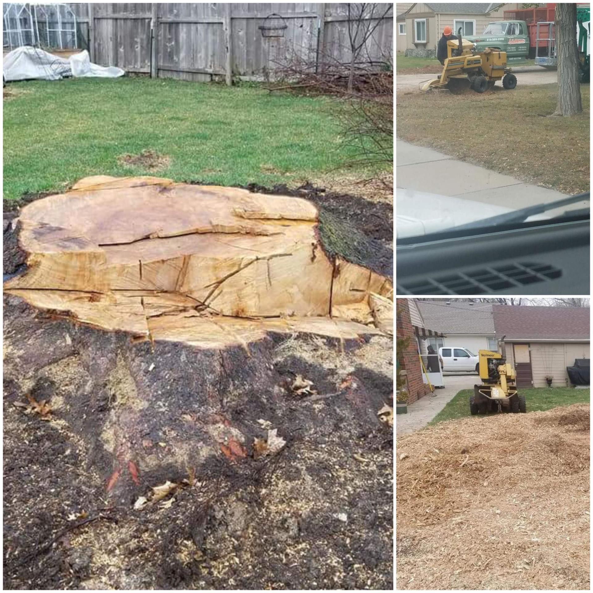 A & M Tree Service Services