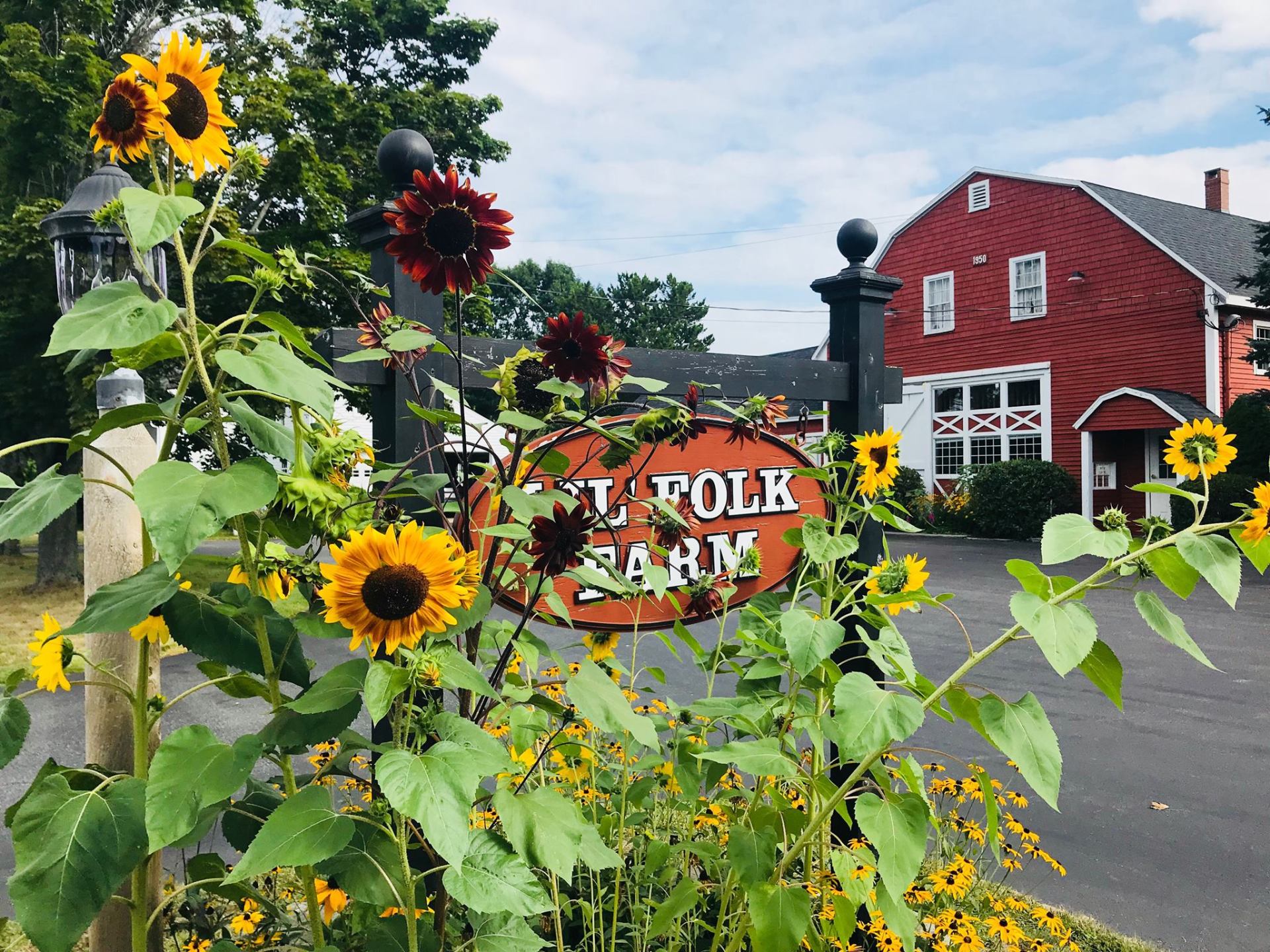 Pre School Scarborough Me Lil Folk Farm