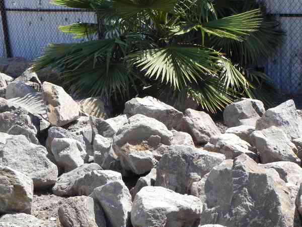 Decorative Rocks and Stones Brentwood, CA Brentwood