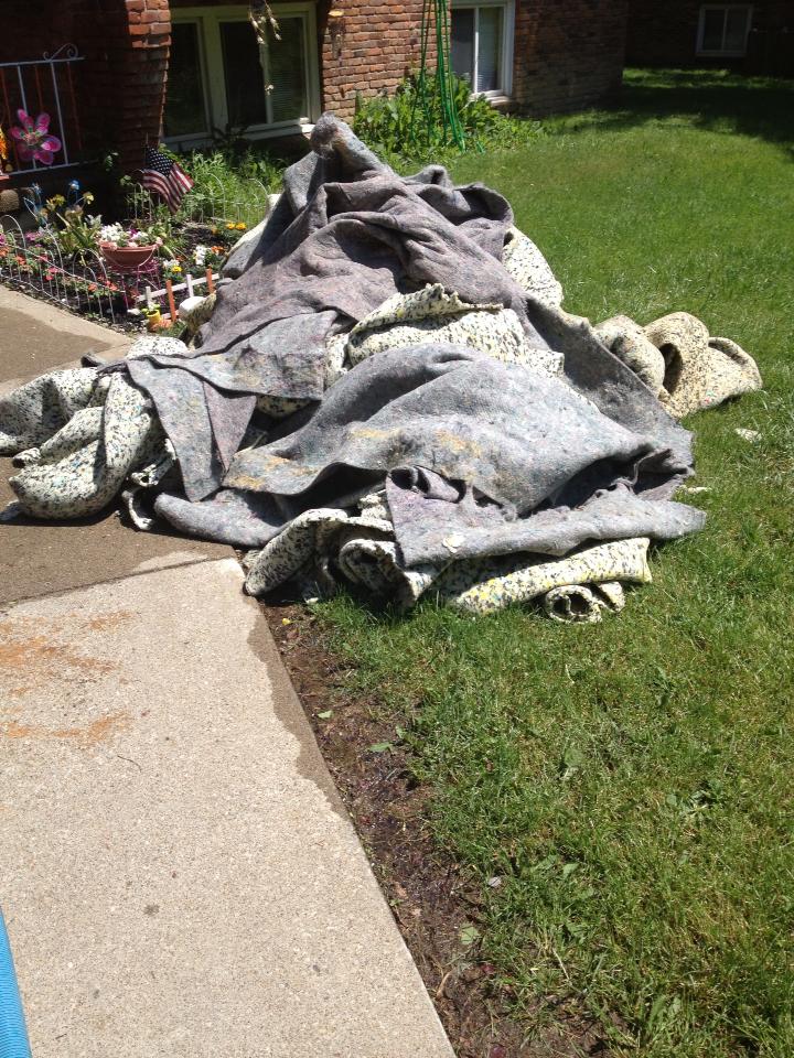 Carpet Cleaning Services Getzville, NY AAA Spectrum Carpet