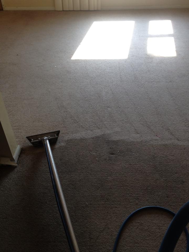 Carpet Cleaning Services Getzville, NY AAA Spectrum Carpet