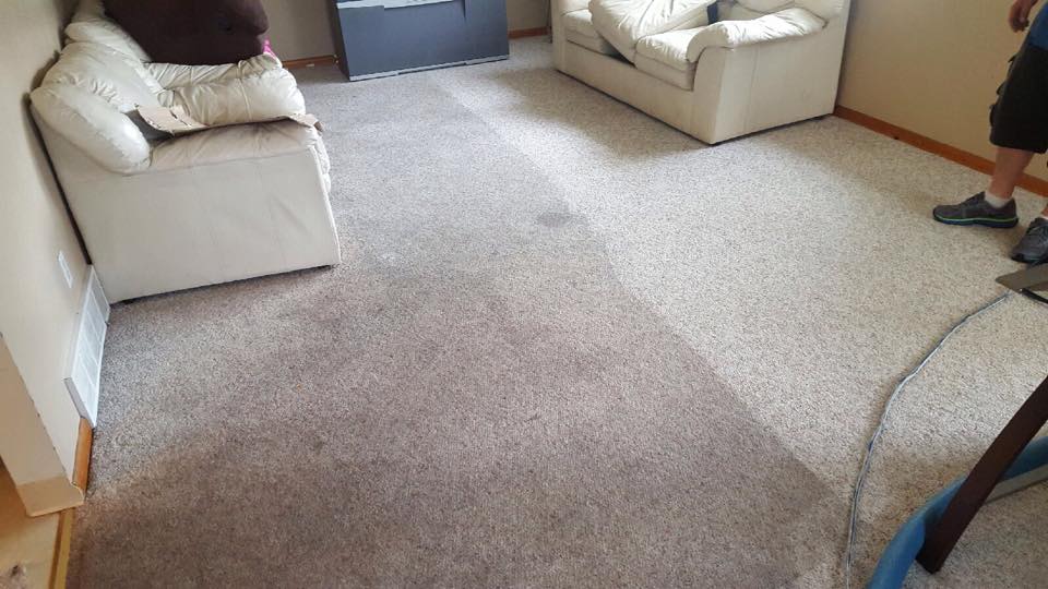 Carpet Cleaning Services Getzville, NY AAA Spectrum Carpet
