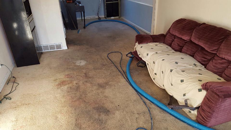 Carpet Cleaning Services Getzville, NY AAA Spectrum Carpet