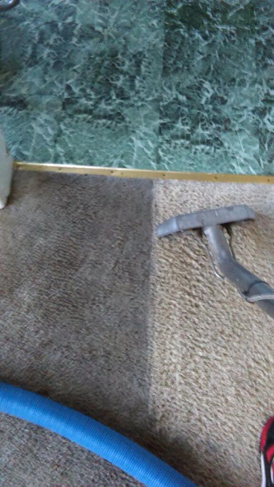 Carpet Cleaning Services Getzville, NY AAA Spectrum Carpet