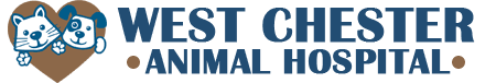 Veterinary Hospital — West Chester, PA — West Chester ...