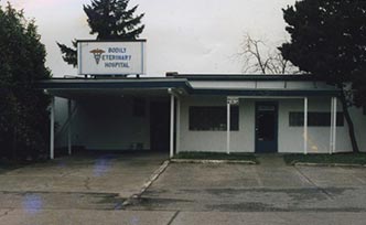 bellevue veterinary hospital