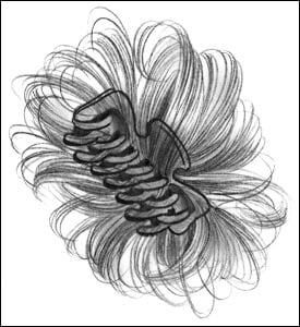 Clip On Hair Fashions
