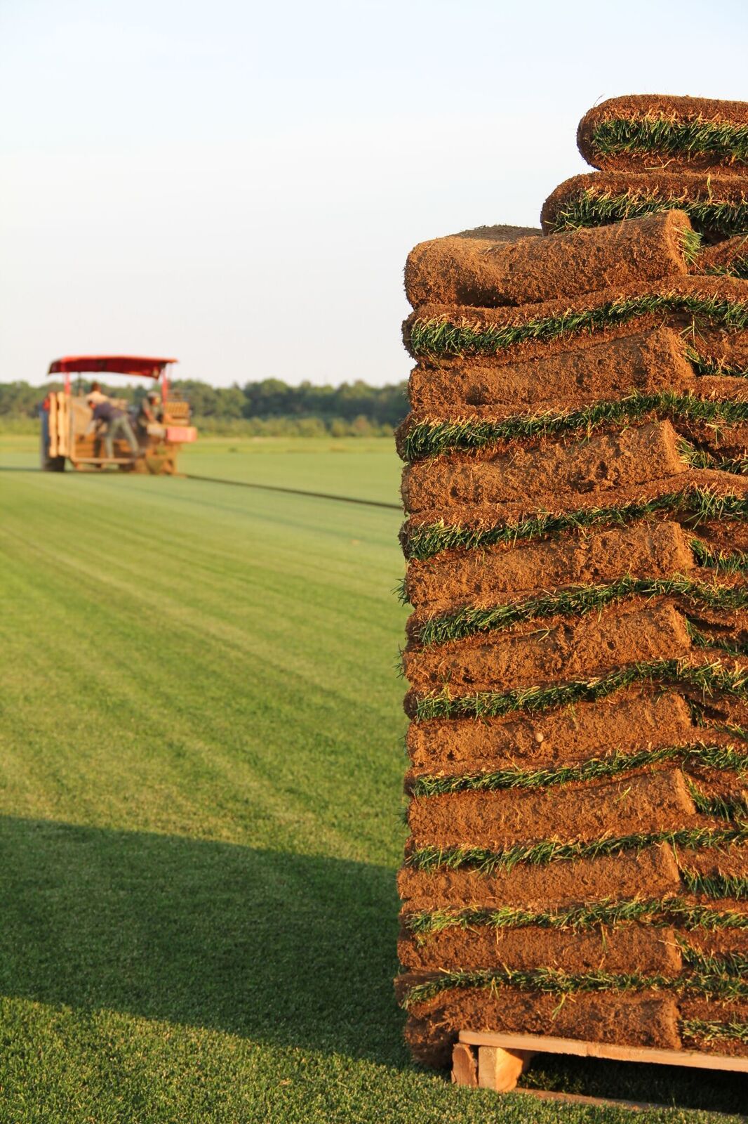 Sod Installation Wading River, NY Greenlawn Sod Farms