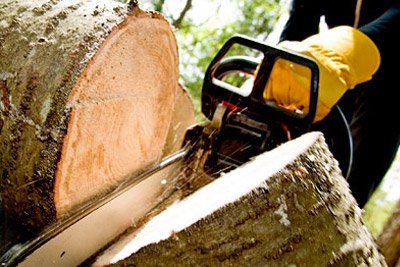 Home | Stanley Lawn & Garden - Marshall, Michigan