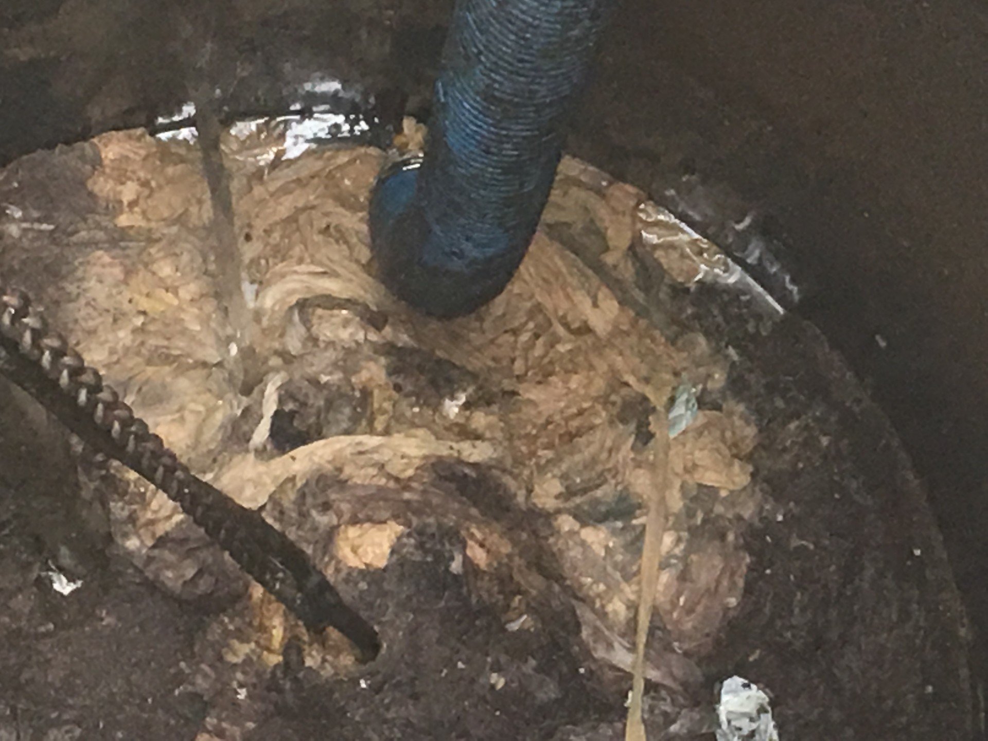 Septic Tank Pumping Lexington Sc