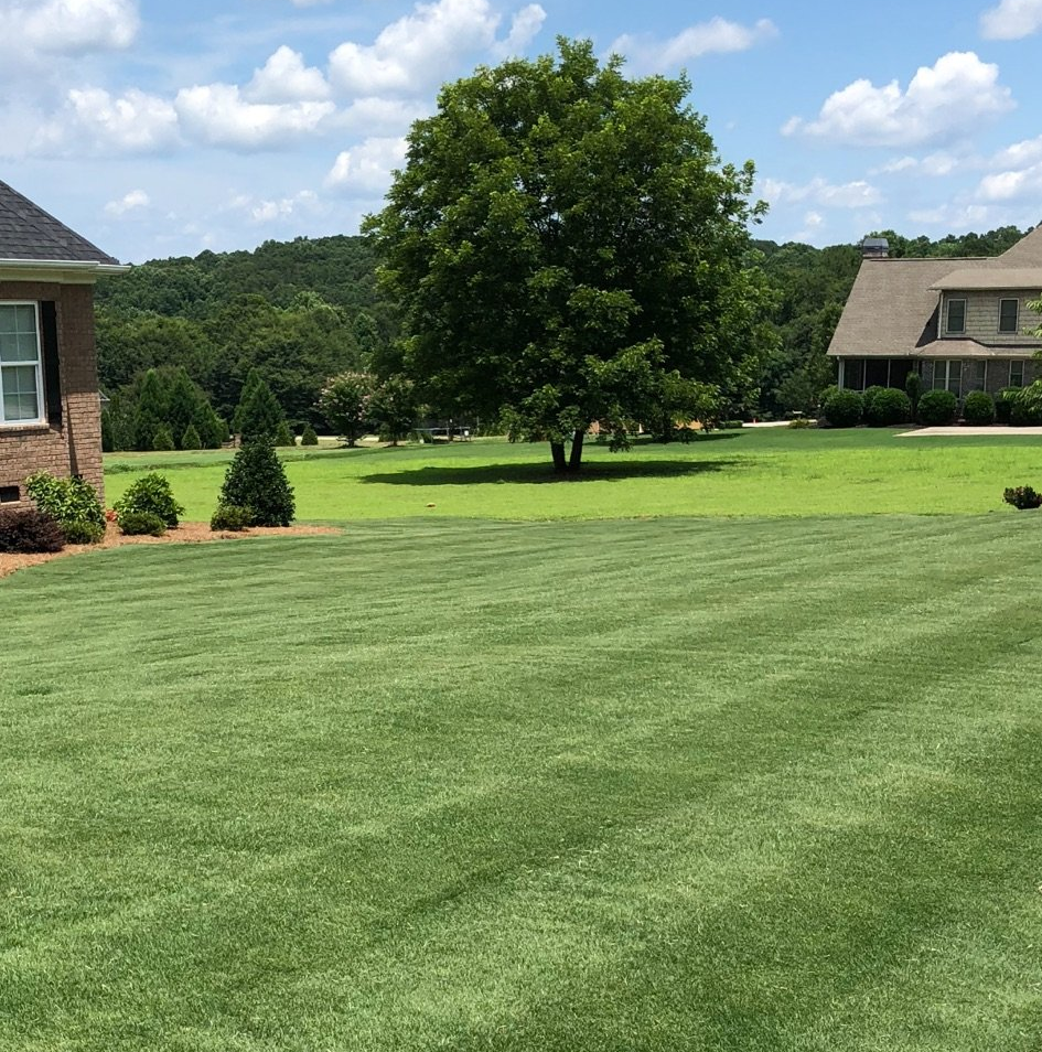 Lawn Services | Anderson County, SC | Danyels Turf