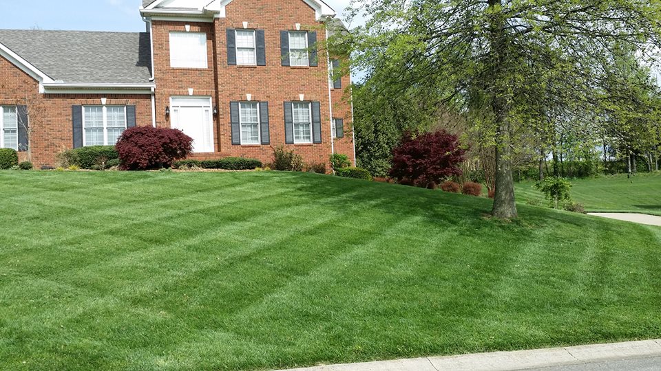 Lawn & Landscape Clarksville, TN DLW Lawn Care & Landscaping