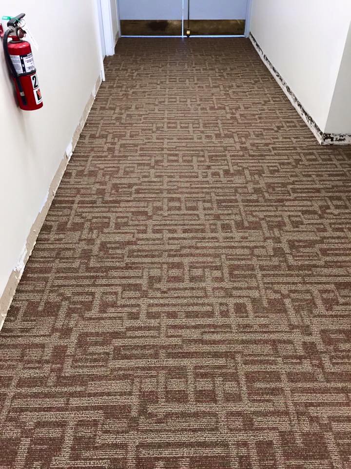 Carpet Cleaning Elsmere, DE Delaware Rug Company