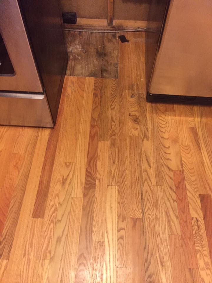 Carpet Cleaning Elsmere, DE Delaware Rug Company