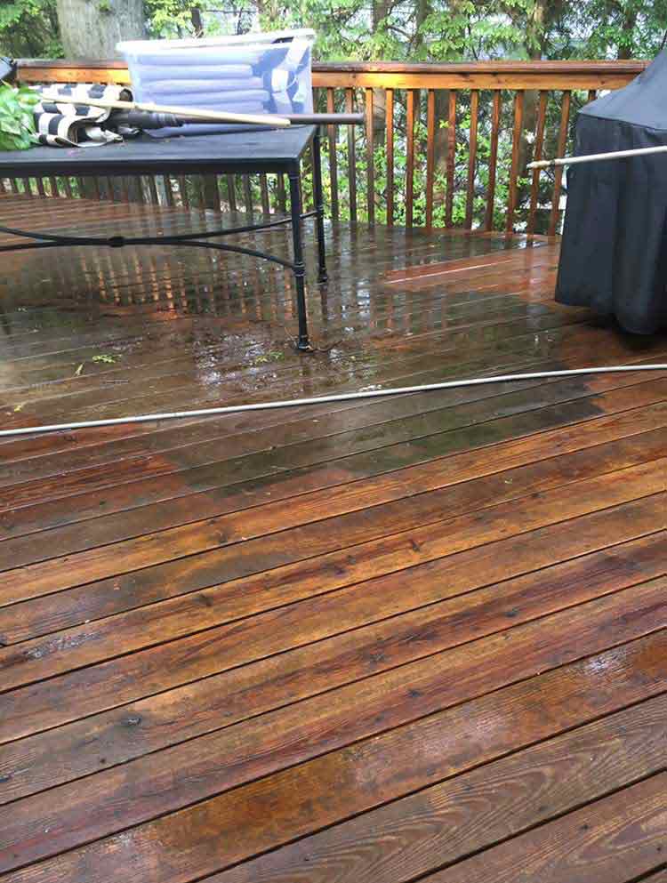 Professional Cleaners Englewood, New Jersey Best Cleaning Service