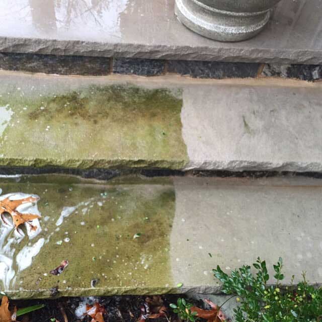 Professional Cleaners Englewood, New Jersey Best Cleaning Service