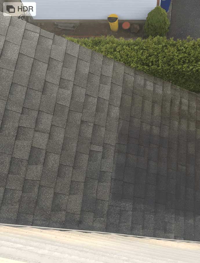 Professional Cleaners Englewood, New Jersey Best Cleaning Service