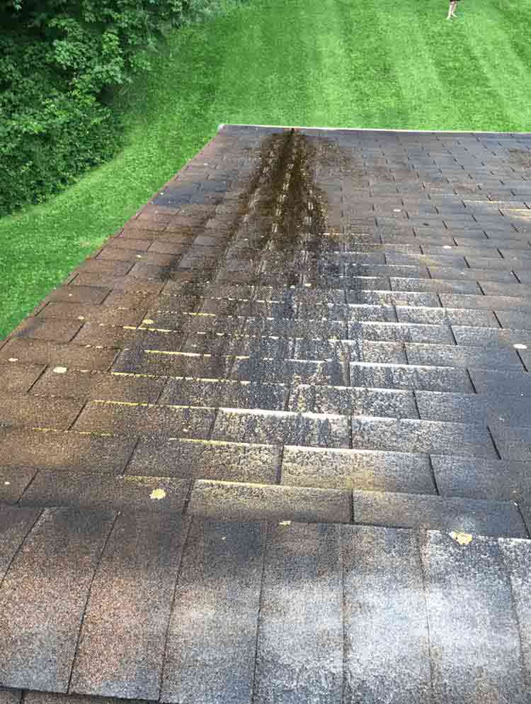 Residential Cleaning Services Englewood, NJ Best Cleaning Service