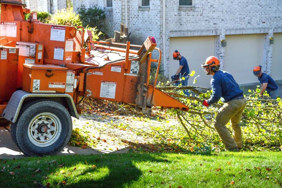 Tree Care Pittsburgh, PA Lumberjack Tree Care Inc.