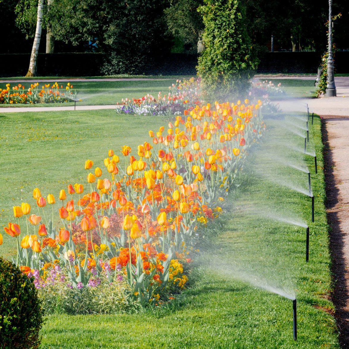 Keep Your Lawn Healthy & Watered Colorado Springs, CO Sprinkler