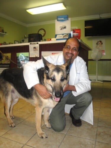 dr ravi pet clinic