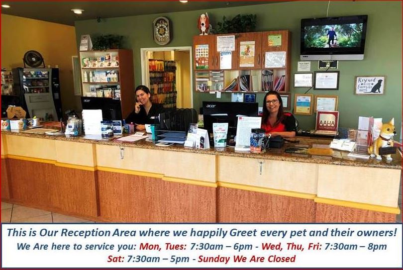 Animal Hospital Rancho Cucamonga, CA Baseline Animal Hospital