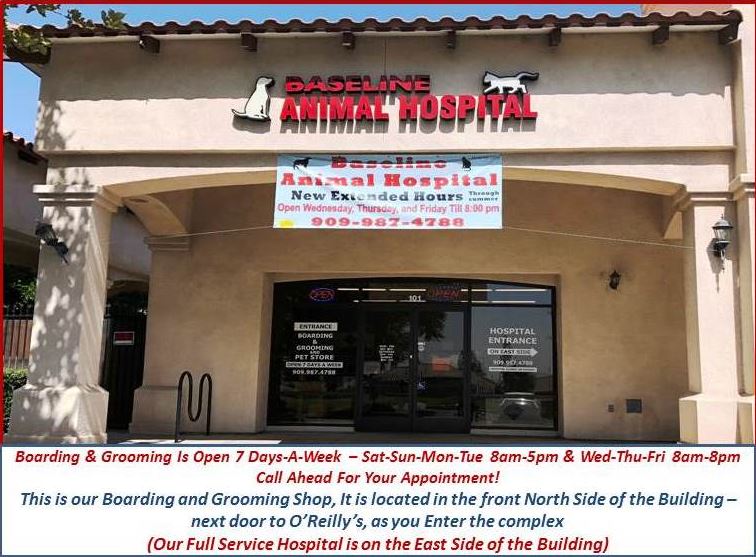 Animal Hospital Rancho Cucamonga, CA Baseline Animal Hospital