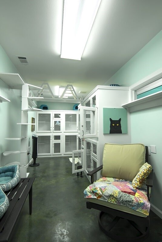 Cat Boarding Little Rock, AR Chenal Pet Palace