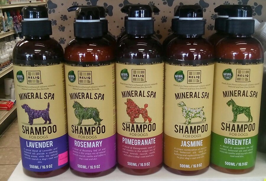 Collar and Leash Pet Shop