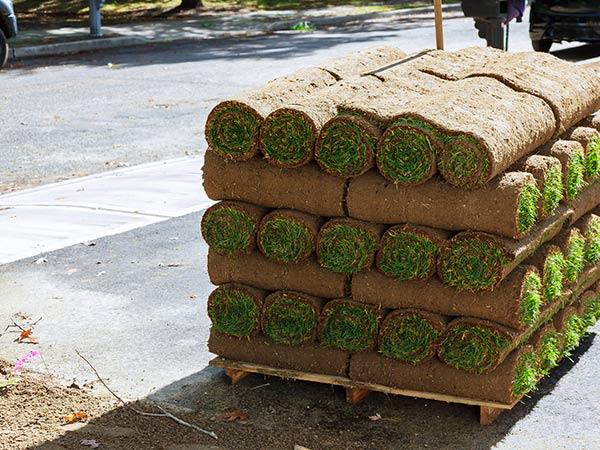 Landscaping Design Service | Broken Arrow, OK | Custom Tree Care