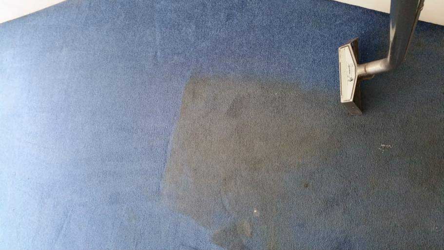 gallery Beaver, PA A1 Carpet Cleaning