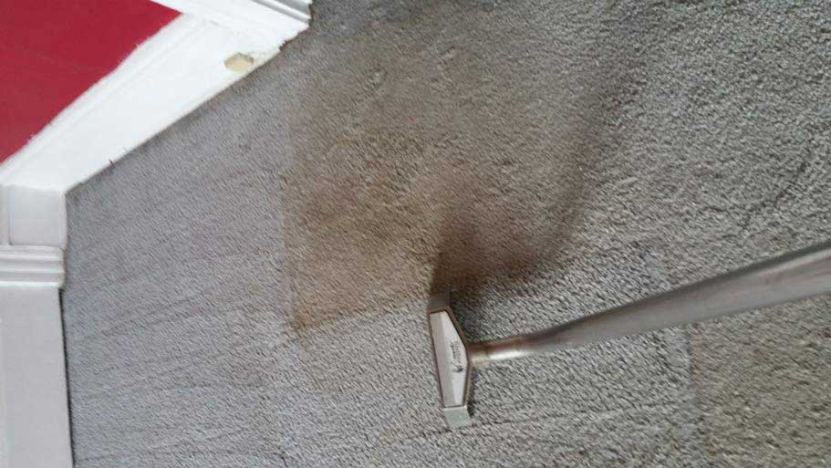 gallery Beaver, PA A1 Carpet Cleaning