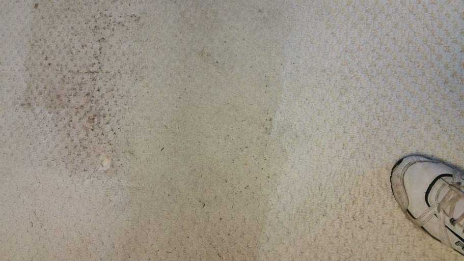 gallery Beaver, PA A1 Carpet Cleaning