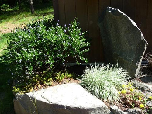 Landscaping Shelton Wa Land Ascapers Northwest Lawn Landscape Design Rockeries In Shelton Wa