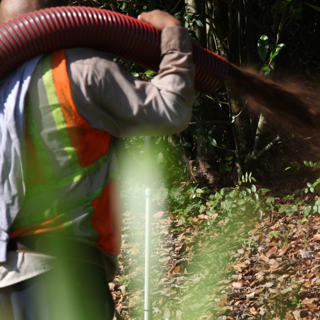 BlownIn Mulch Longwood, FL Mulch For You