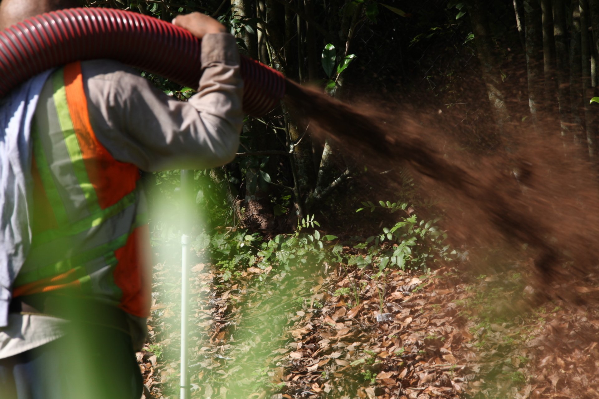 Central Florida Mulch Supplier Longwood, FL Mulch For You