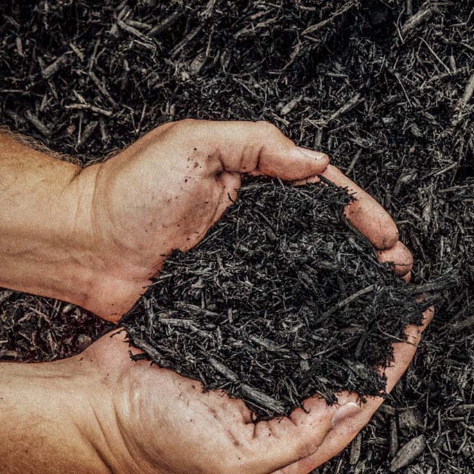 BlownIn Mulch Longwood, FL Mulch For You