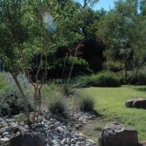Xeriscape Design Albuquerque, NM Steve Shelly Landscapes