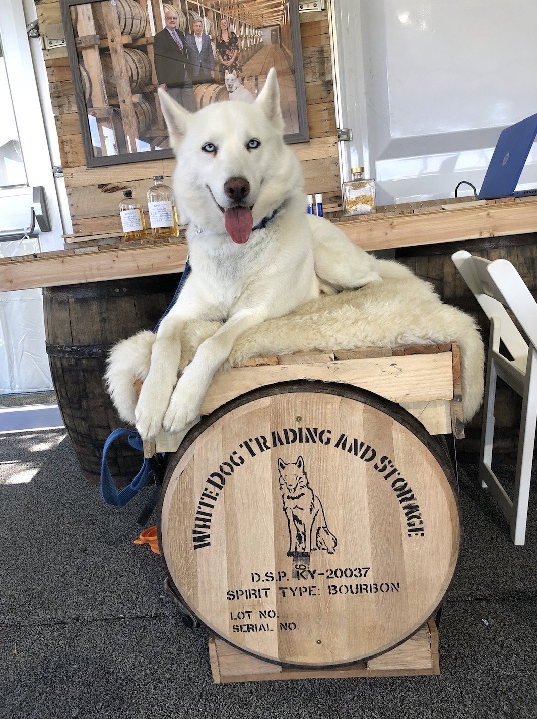 Fine Liquors Versailles, KY White Dog LLC.