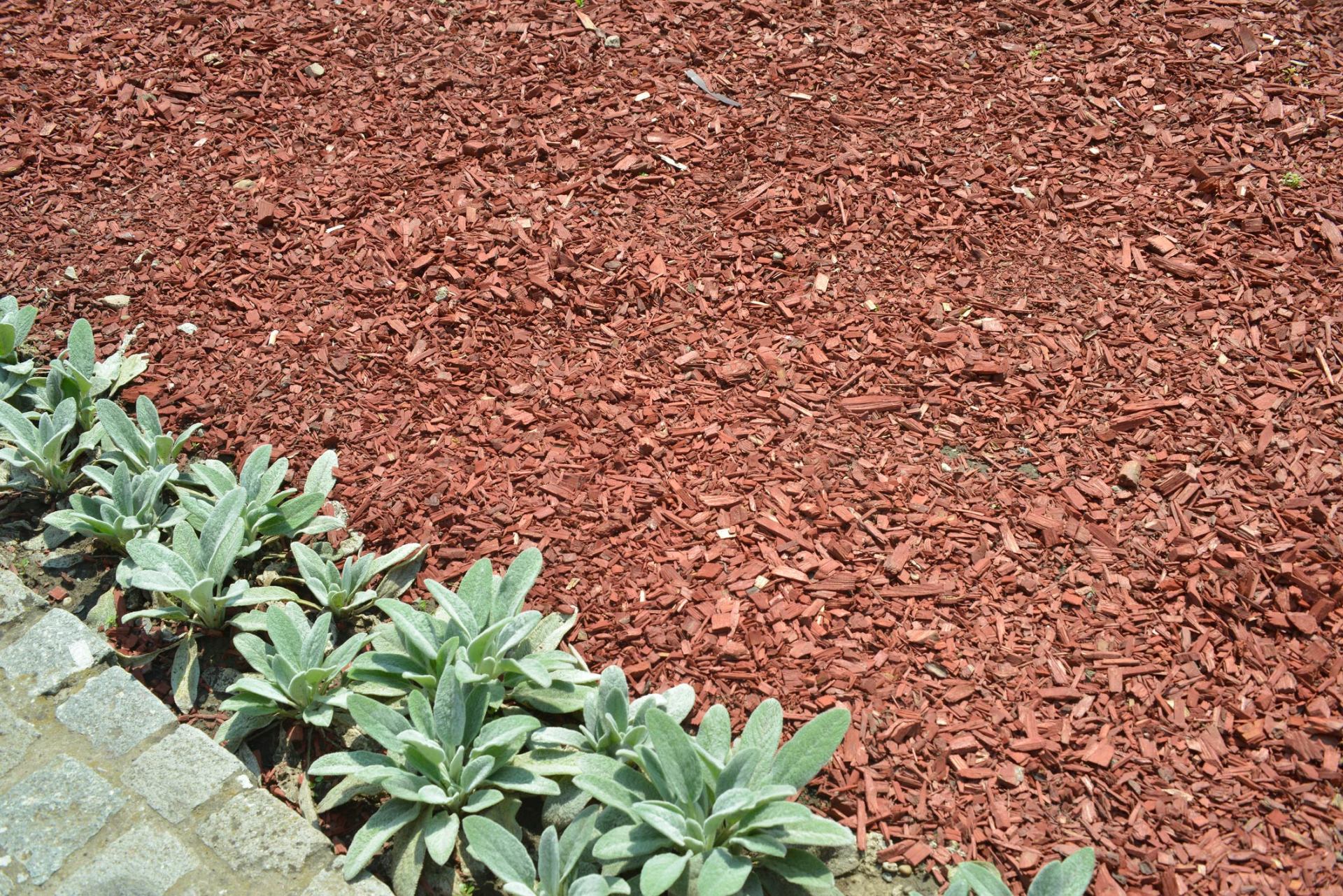 TopQuality Mulch Supplier Poland, OH Elliott’s Garden Center