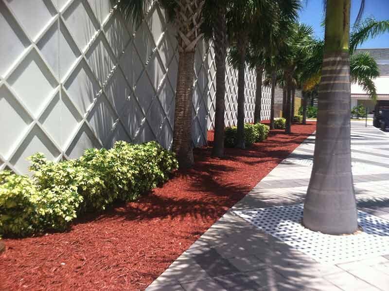 Hurricane Clean Up Okeechobee, FL Nunez Lawn Care & Landscaping Inc