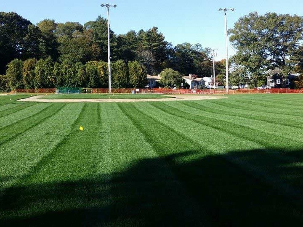 Get Ready to Play Ball