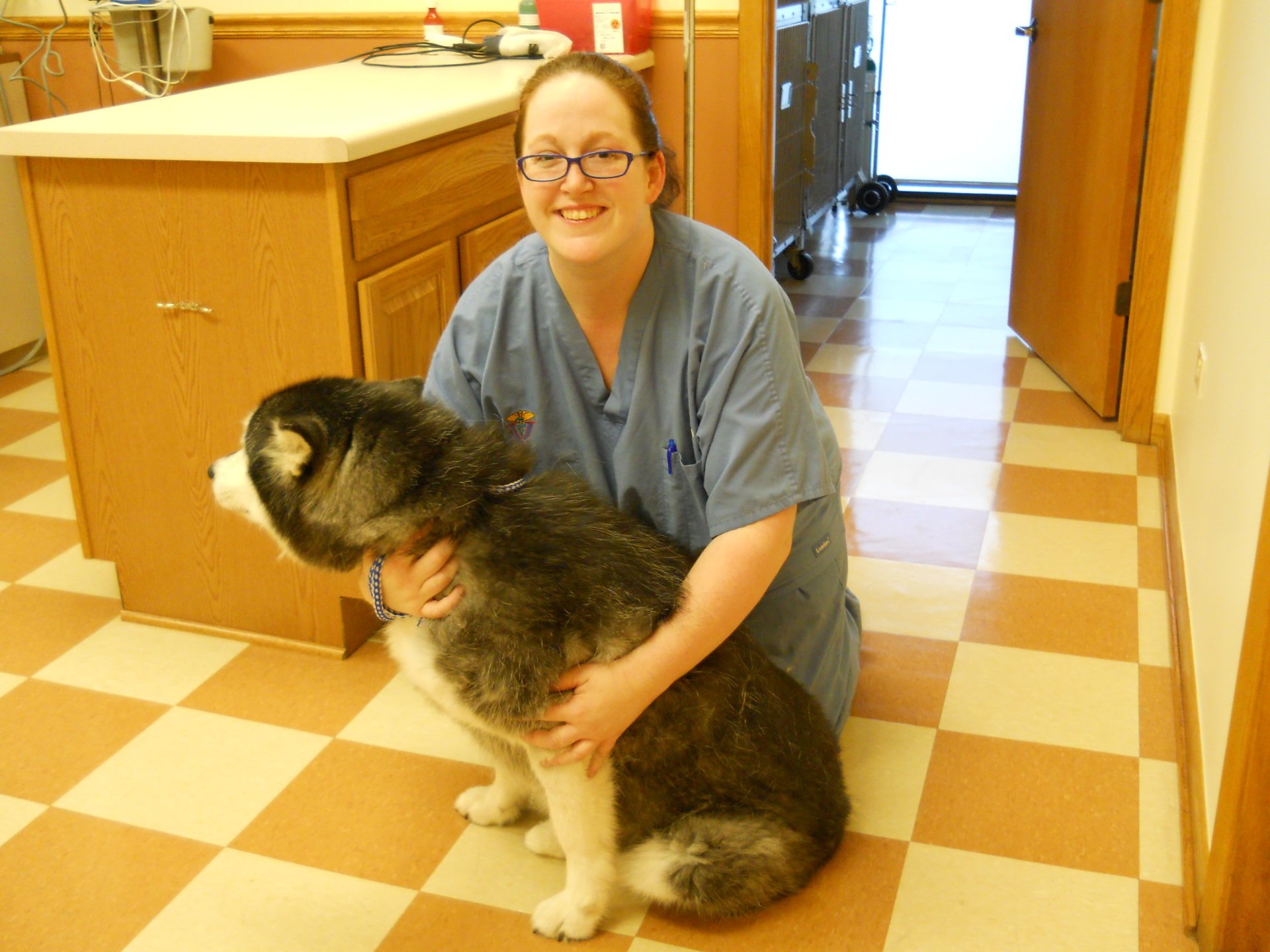 Veterinary Hospital Gurnee, IL Grand Animal Hospital