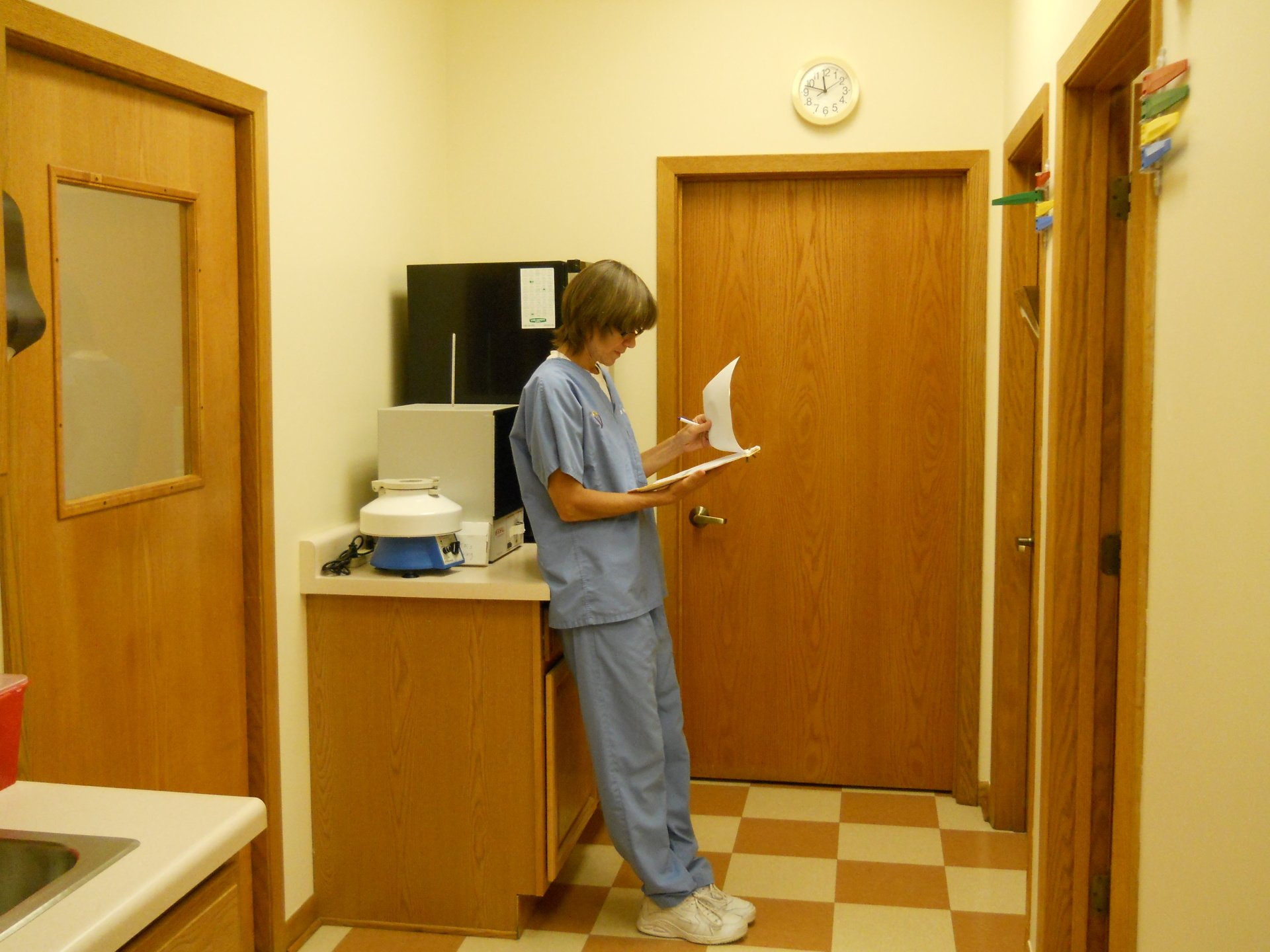 Veterinary Hospital Gurnee, IL Grand Animal Hospital