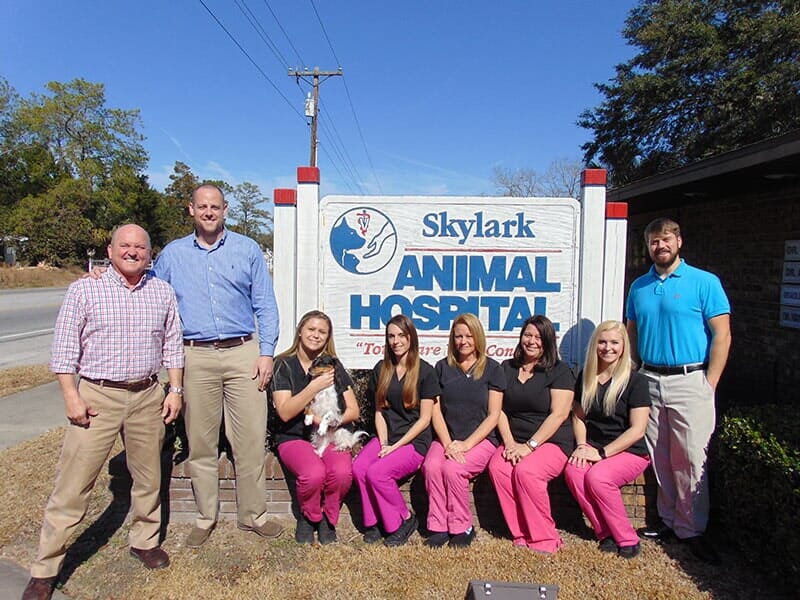 meetourstaff Ocala, FL Skylark Animal Hospital