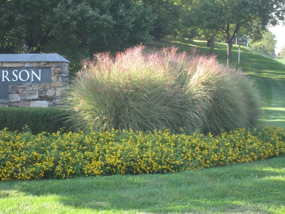 Dunn's Landscaping Company